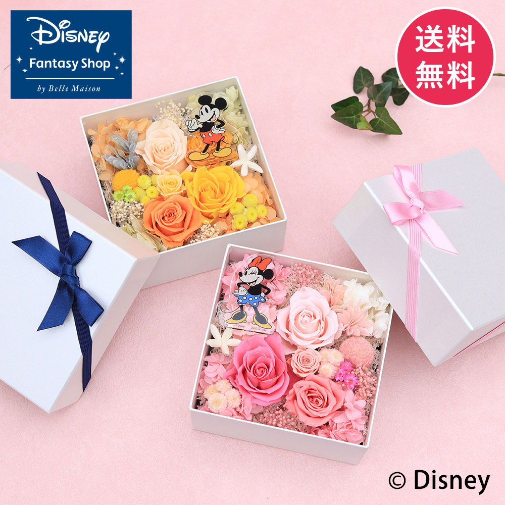 �f�B�Y�j�[/�v���U�[�u�h�t�����[�u�y�A�E�n�s�l�X�E�{�b�N�X�v