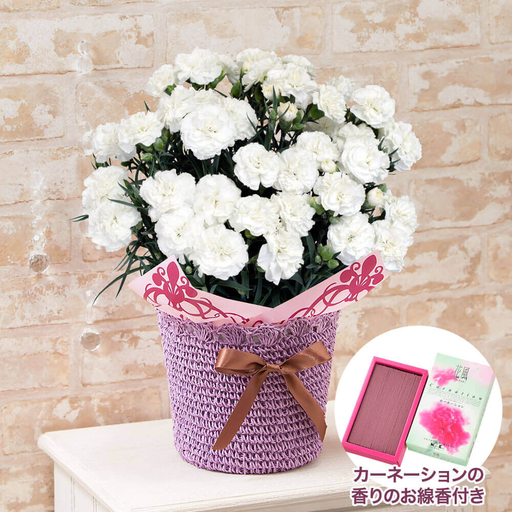 イイハナ お供え花セット お母さんを偲ぶ白いカーネーション 母の日限定お線香付き 花のプレゼント ギフト