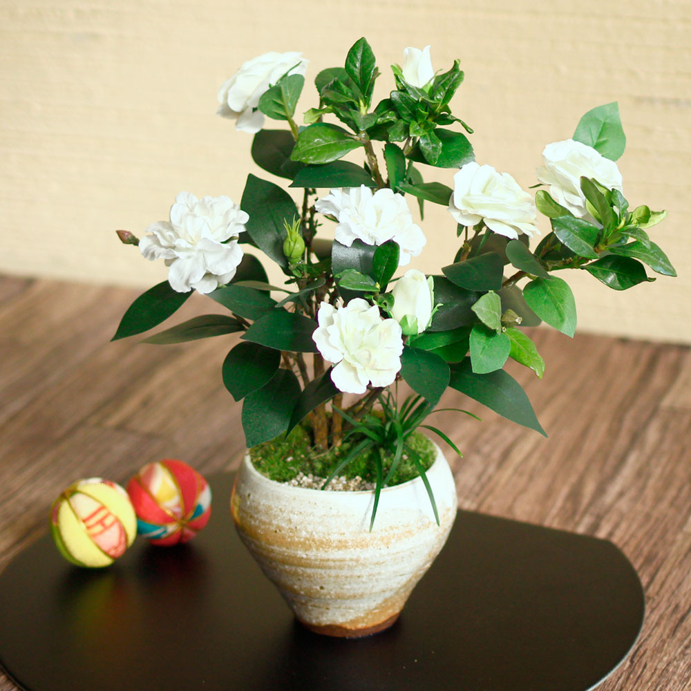 イイハナ 母の日 盆栽 くちなし 花のプレゼント ギフト