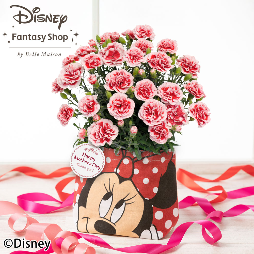 イイハナ 母の日 ディズニー 鉢植え バックinカーネーション ミニーマウス 花のプレゼント ギフト