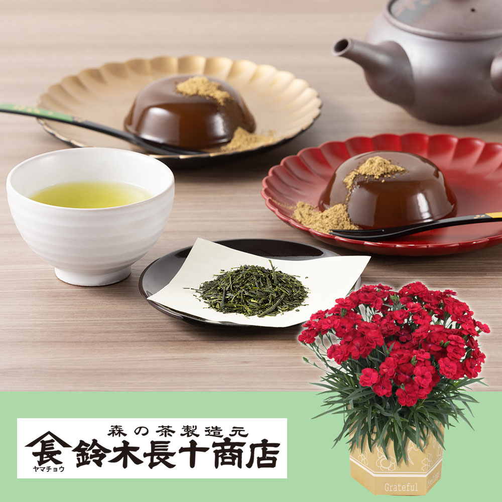 静岡茶 新茶 緑茶 やまちょう 母の日 父の日（母の日向けのお茶