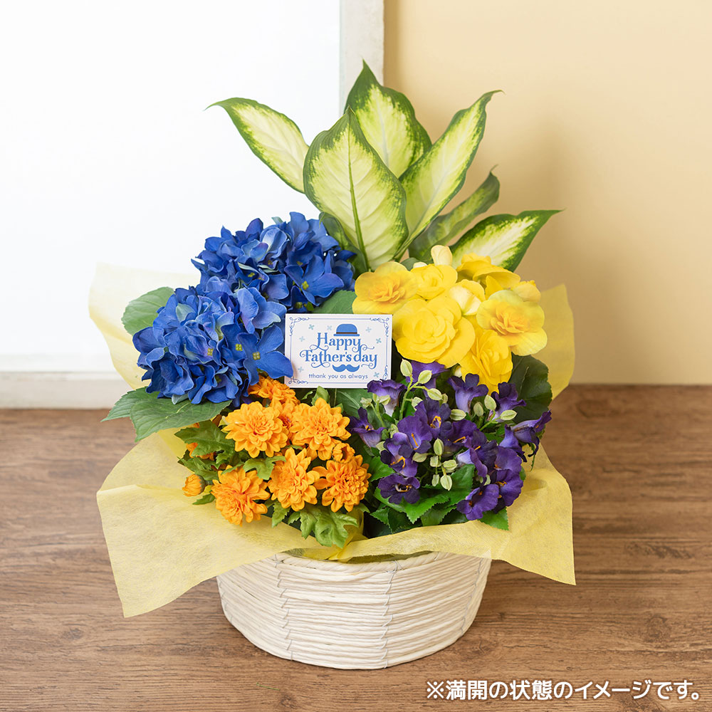 父の日ギフトバスケット