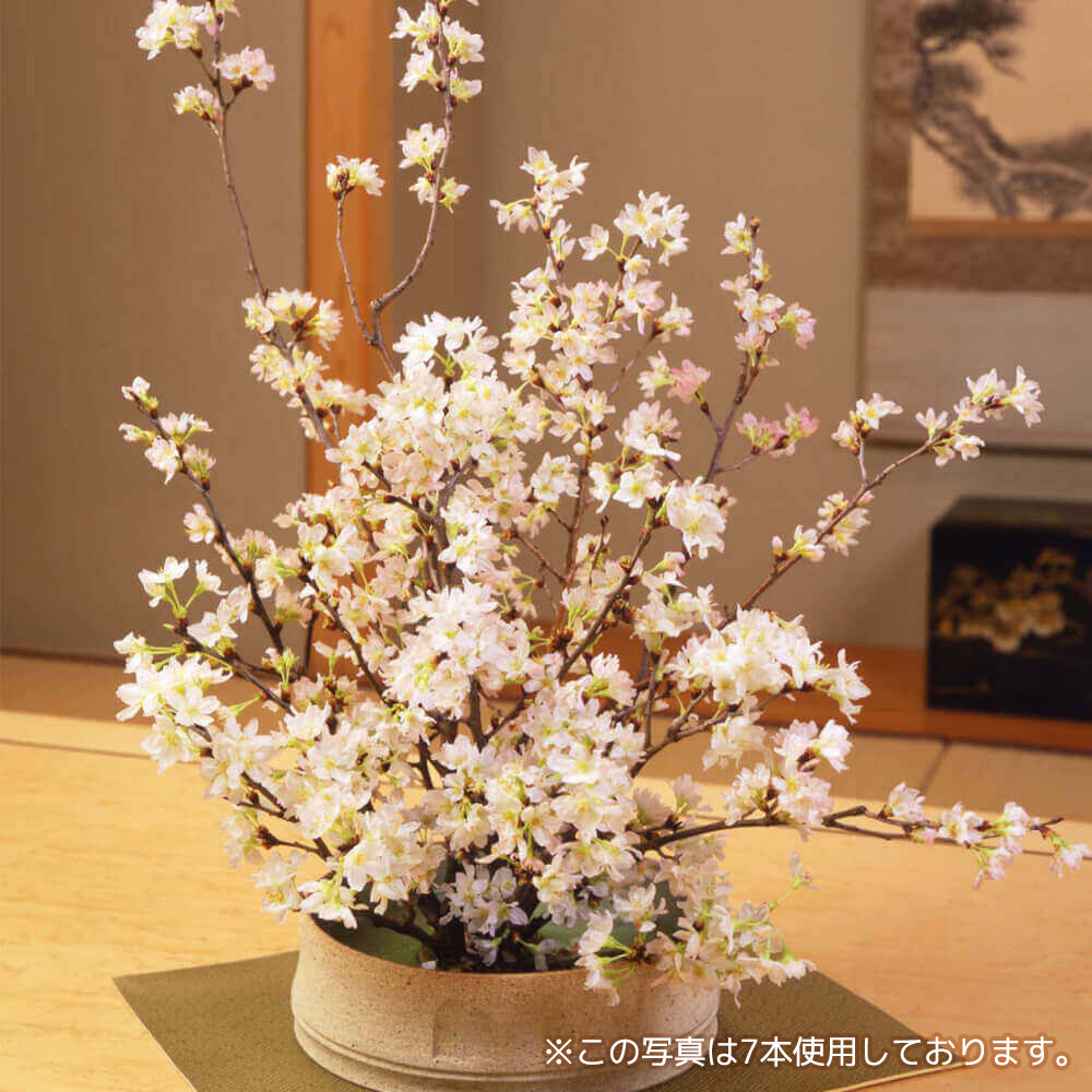 お正月 花束「みちのく初桜～M」｜フラワーギフト通販ならイイハナ