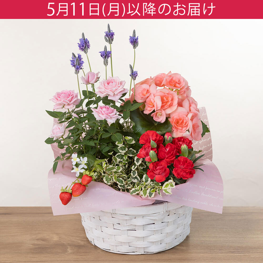 母の日 鉢植え「マムズ・バスケット」｜フラワーギフト通販なら