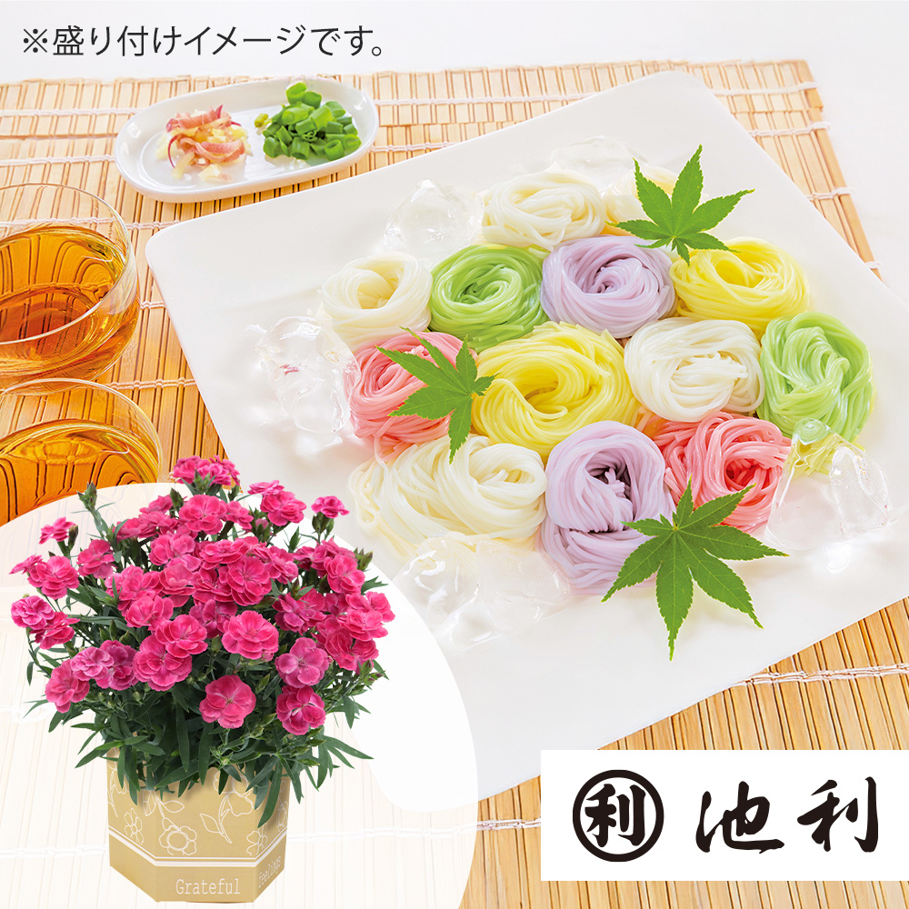 母の日 花とグルメ「池利 手延三輪そうめん色撫子」｜フラワーギフト