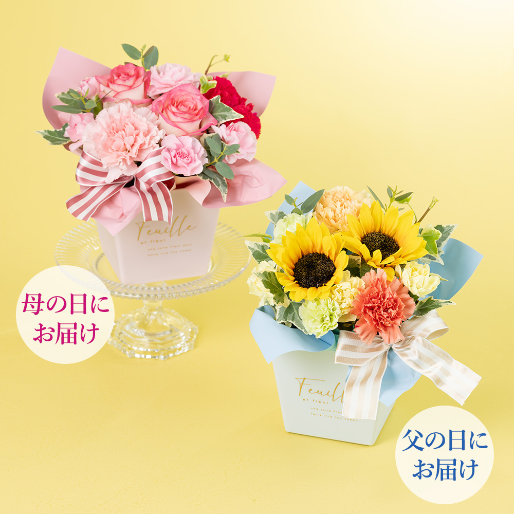 ��̓��E���̓� �Ί�炭�\��Z�b�g�u�A�����W�����g�@�؂₩�ȂЂƎ��v