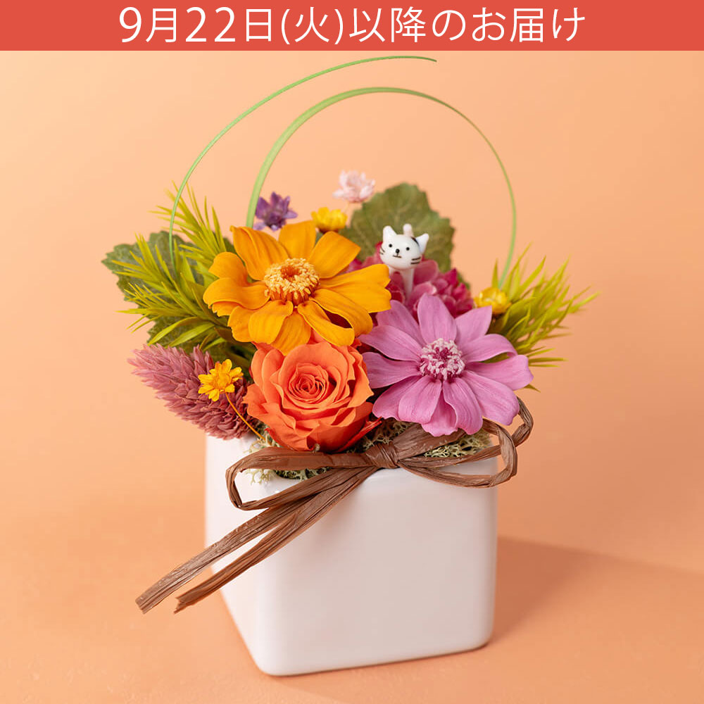 敬老の日 プリザーブドフラワー「にゃんでも話そう！」｜フラワー