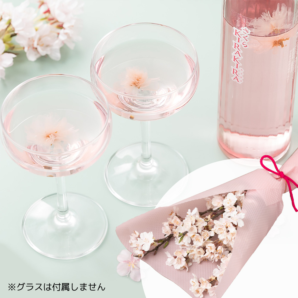 hohkerさま専用希少 NUTS×802PRODUCTS ブリエスタ 夕桜 ブリエスタ