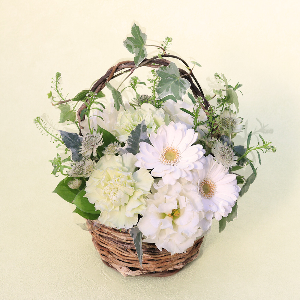 アレンジメント「シャインガーデン～White & Green～」│初夏の花特集