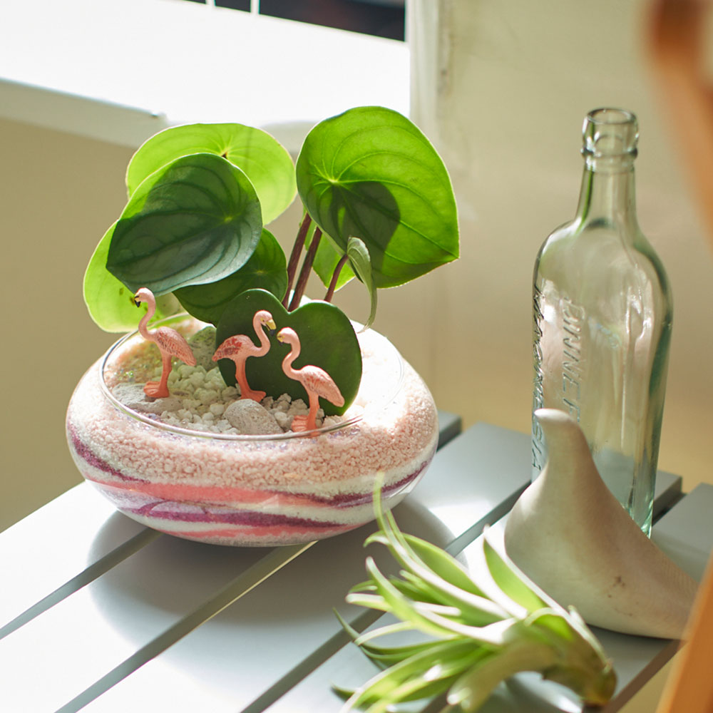 イイハナ ジオラマ寄せ植え ラブラブ フラミンゴ 花 フラワーギフト販売 通販