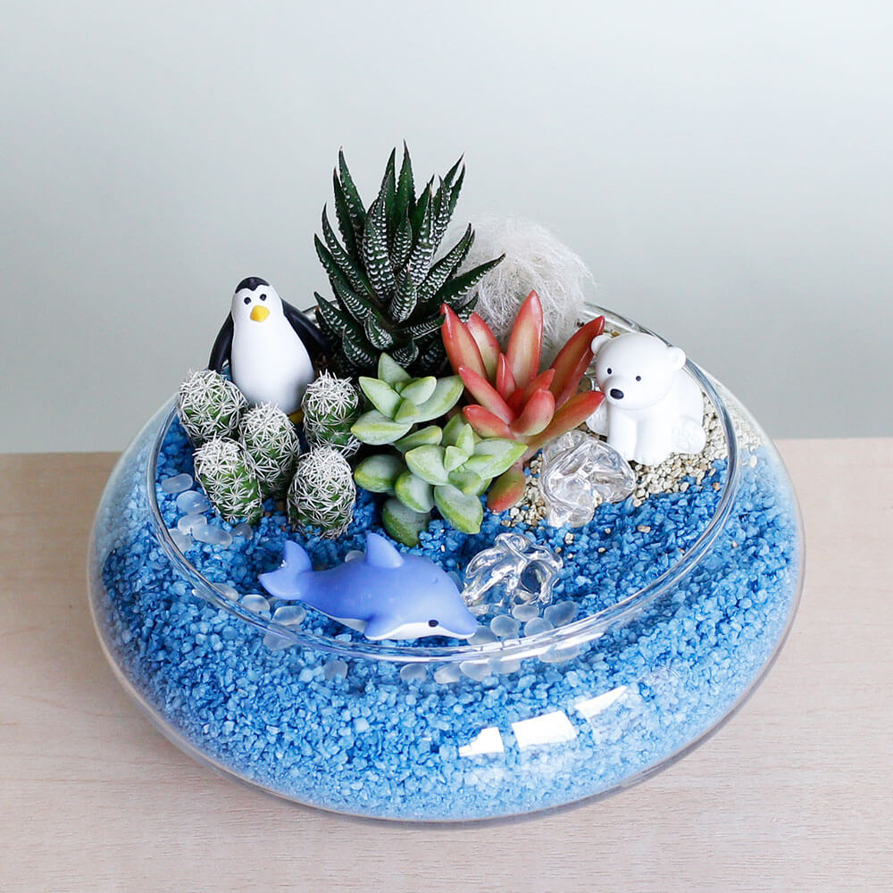 寄せ植え「マリン・フレンズ」｜フラワーギフト通販ならイイハナ