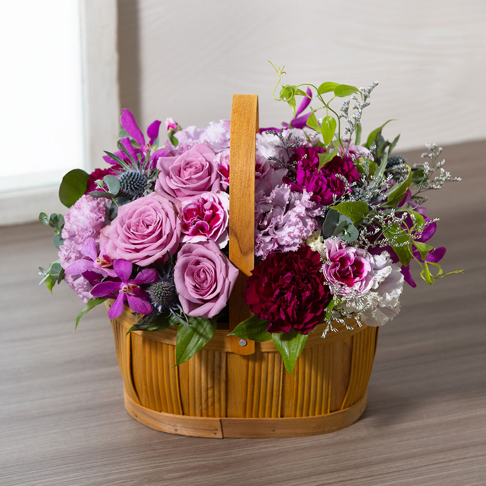 花花様 アオアシ 1-27巻セット アオアシ 1〜27巻セット オマケ付き‼️ - メルカリ