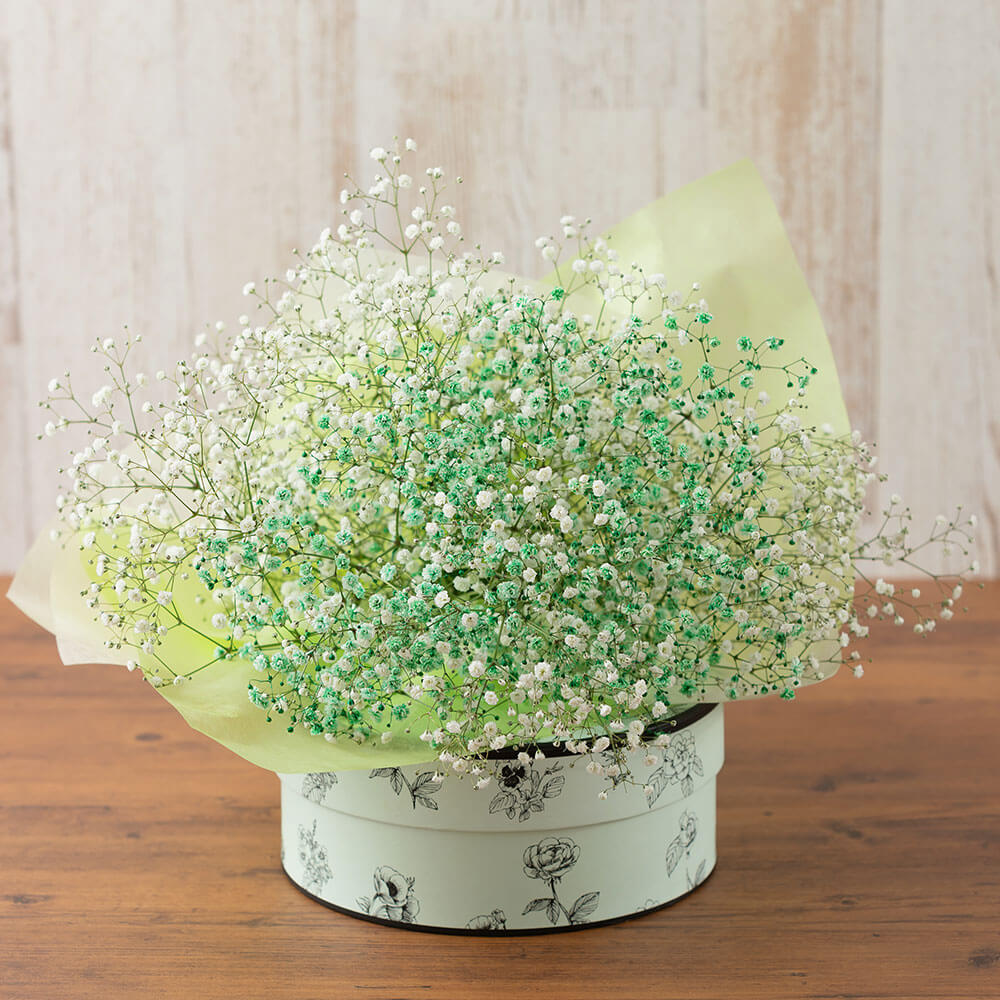 イイハナ Ex花束 Gypsophile カスミ草 花の翌日宅配はお急ぎオーダー