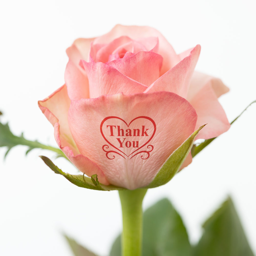 イイハナ 母の日 花束 レター ローズ Premium Rose バラに気持ちを託して 花のプレゼント ギフト