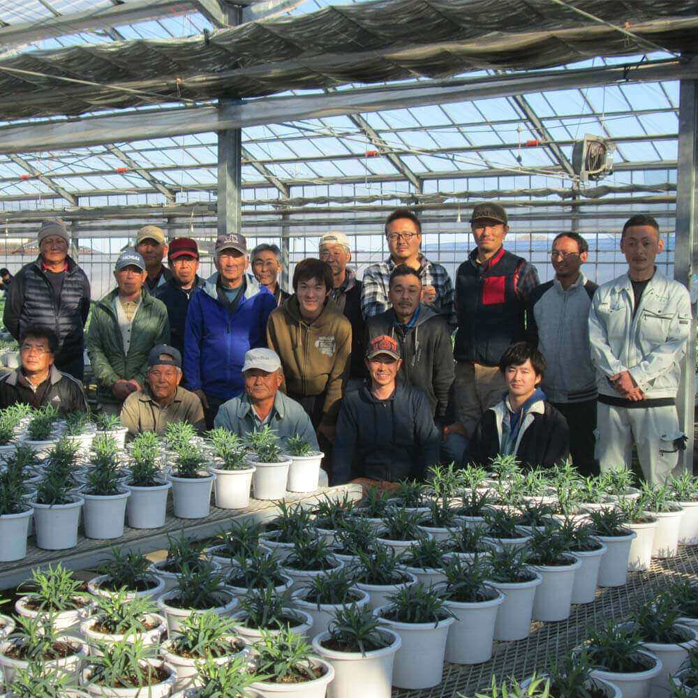 イイハナ 母の日 鉢植え カーネーション アンサンブル 花のプレゼント ギフト