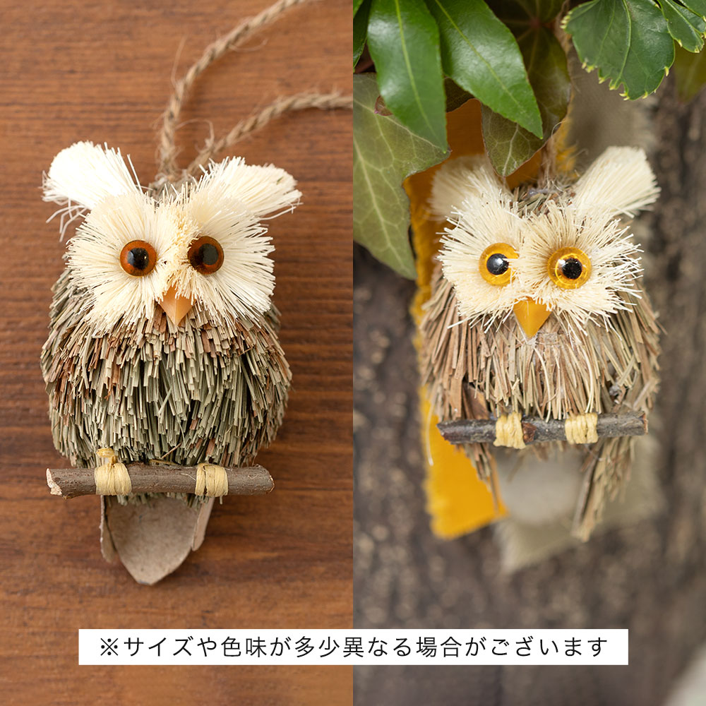 イイハナ 敬老の日 アレンジメント 福来朗 フクロウ の森 願いを込めて 花のプレゼント ギフト