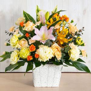 【価格交渉相談可！】ヘレンド　フラワーポット　希少品　レア品　花　蝶 価格交渉相談可！】ヘレンド フラワーポット 希少品 レア品 花