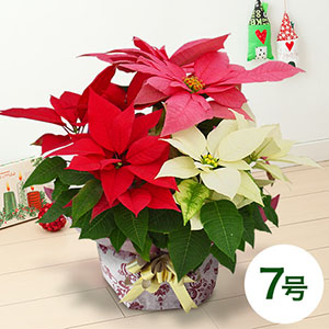 Aliceさま売約済み　簪〈Bouquet・大人のXmasポインセチア・盛り〉 Aliceさま売約済み簪〈Bouquet・大人のXmasポインセチア・盛り〉