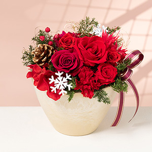 プリザーブドフラワー「クリスマス・ルージュ」｜クリスマスの花特集
