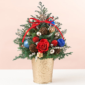 【受注生産】ドライフラワー クリスマスツリー 冬 クリスマス クリスマス ミニツリー「Christmas Red」｜フラワーギフト通販