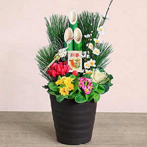 お正月 寄せ植え「モダン門松 1個」｜フラワーギフト通販ならイイハナ