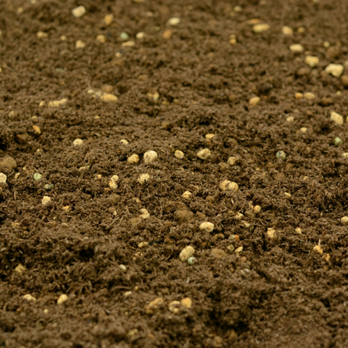 ブルーベリーに最適な酸性の土
