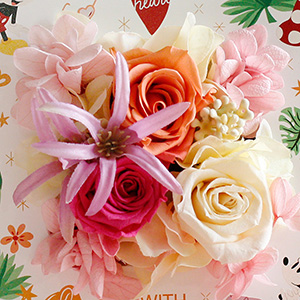 �o����3�֓������؂₩�ȃA�����W�����g�ł��B