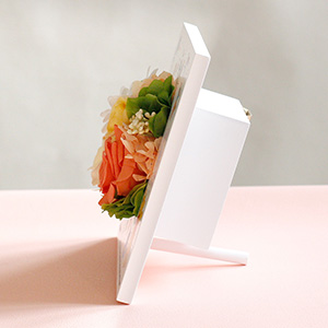 ��p�̖_�������Ă��������ƁA���Ăď����Ă��������܂��B