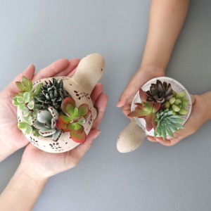 寄せ植え「仲良し亀さん」