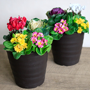 IA|AA~}AOċG߂̊񂹐AƂĂy݂B