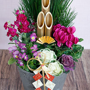 ɂ͌ȂrIAtOAVN킹Ă܂B