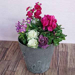 IA|AȂ̏OAVbNȋG߂̊񂹐AƂĂy݂B