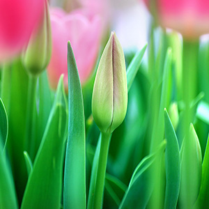 A̓Aڂ݂̏Ԃł̂͂ɂȂ܂B