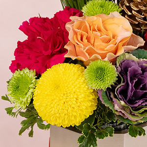 FƂǂ̉ԁXōʂA邢ۂ̐AWgłB