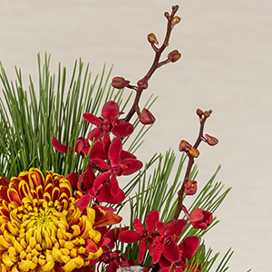 Ԃ̗炤ƂŁAAWgɉ؂₩ȗ̊Y܂B