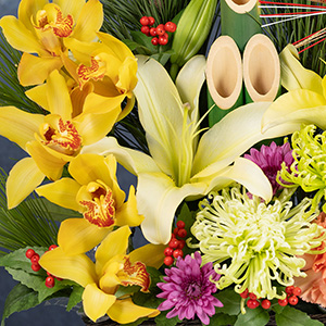 AiX^VAAIG^SAVrWEƂɂ͌ȂS[WXȉԁXґɑgݍ킹܂B