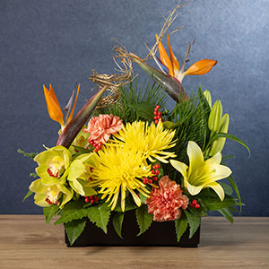 S͒yݒ悤Aڂ݂̏Ԃŏoׂ܂B͂n₨󂯎̃^C~OAG߂CɂJԏ󋵂ʐ^ƈقȂꍇ܂B