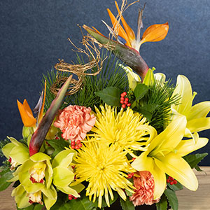 ւ̉ԁX_Ci~bNɑgݍ킹Ă܂B