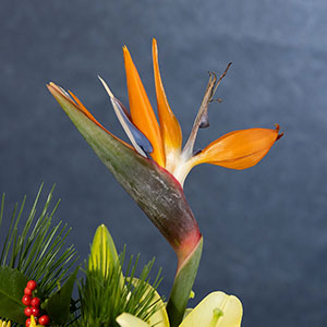 H΂̂悤Ɍ邱ƂuɊyԁvƂĂ΂Xg`AłB