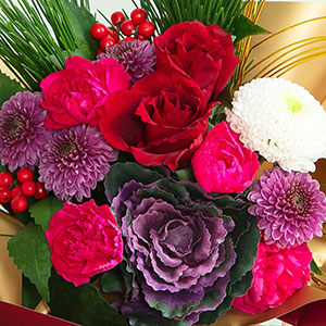 N₩ȉԁXVt̂jw؂₩ɂĂ܂B