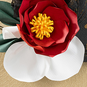 FԐcẢԕفEQ܂ŁAׂĈꖇ̎璚JɎ肳Ă܂B