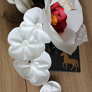 u͂ȂAUȂNvӒBЂƂЂЂƂЂAJɍĂ܂B