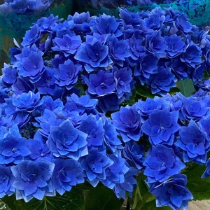 ��ւ̔��d�炫�Ȃ̂ŁA�{�����[���������Ղ�ł��B