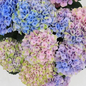 �W���p�X�e���J���[�̃O���f�[�V�����ŗ������Ȉ�ۂł��B�����ƁA��̖[�̒��ł��F���O���f�[�V�����ɂȂ�A���L���ȃA�W�T�C�ł��B