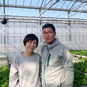 �͔|�����Ă���������؂��񂲕v�Ȃł��B