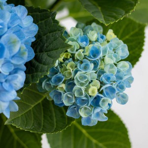 �炫�n�߂͐��F�ƃ��C�g�O���[���̃R���{���[�V�����Ő����������Ղ�ł��B