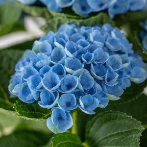 �炫�i�ނƐ��F���Z���Ȃ��Ă��܂��B