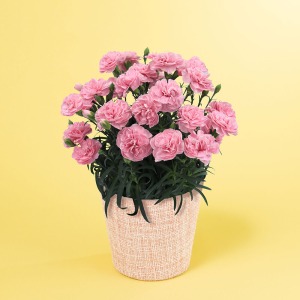 �ʂȃA���O������̃C���[�W�ł��B