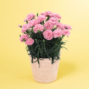 �Ⴂ�A���O������̃C���[�W�ł��B