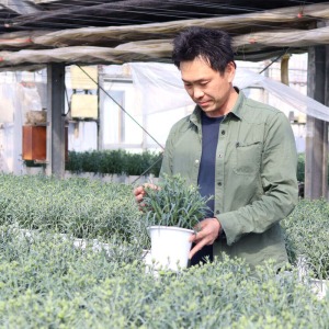 �J�[�l�[�V�����̏��u���v�ۉ��|�v�ŁA�ו��ɋC��z��A�O�����߂Ĉ�Ă��Ă��܂��B